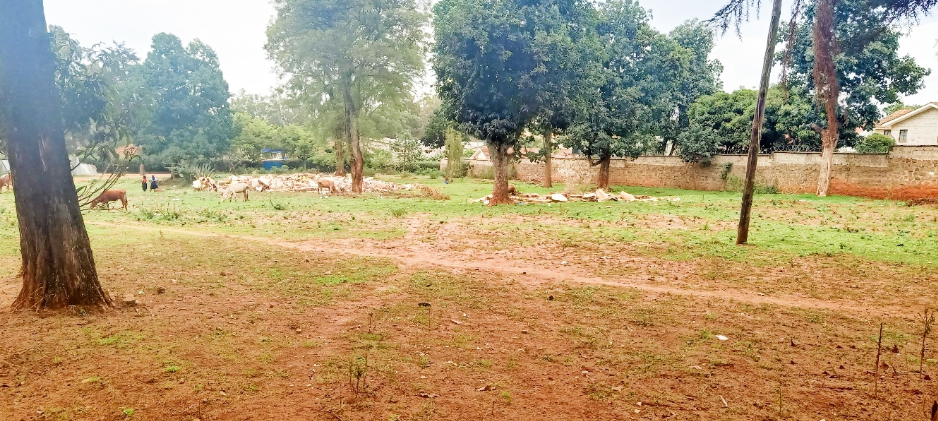 Kitale Grabbed Land